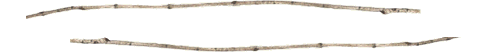 blank banner